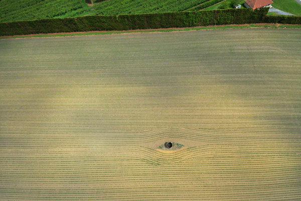 Maze field