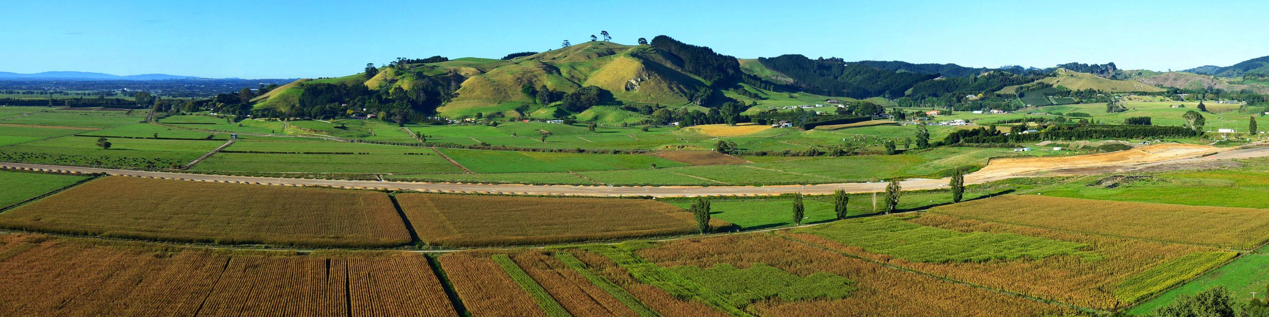 Papamoa Hills Panorama