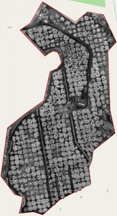 9750 NIR
