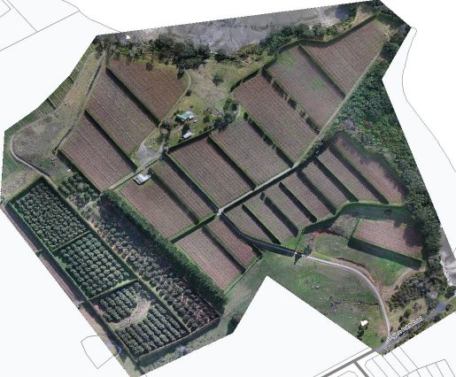 Orchard-Mapping-01