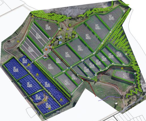 Orchard-Mapping-02